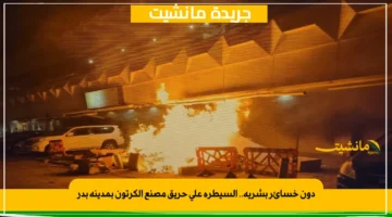 دون خسائر بشرية.. السيطرة على حريق مصنع الكرتون بمدينة بدر